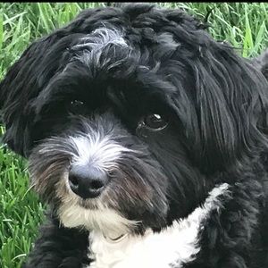 Meet your Posher, Sherri